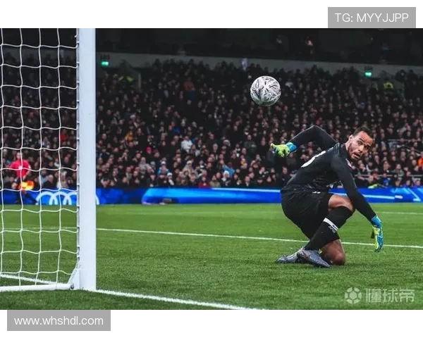 热刺与诺维奇精彩对决录像回放全程回顾与精彩瞬间分析