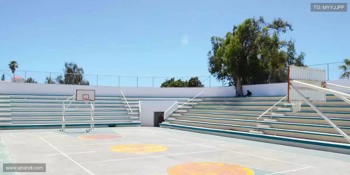 实时解说，让你不错过任何一个绝杀瞬间！🎙️🏃